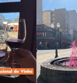 Queijos, Vinhos e Espumantes - Bento, Garibaldi e Carlos Barbosa - Fenachamp.